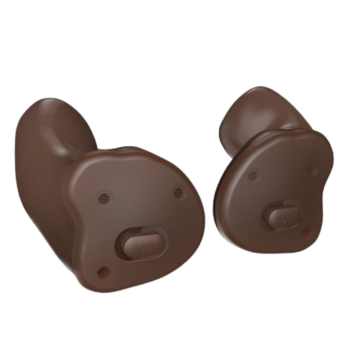 Inside The Ear